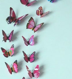 Vlinders1