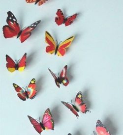 Vlinders6