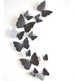 Vlinders9