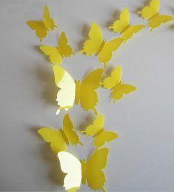 Vlinders17